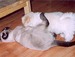 2006 2.jpg