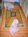 2006 9.jpg