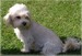 2007 8.jpg